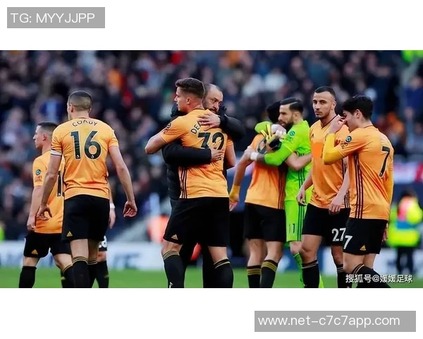 埃弗顿与狼队激战成和比分揭晓精彩瞬间回顾
